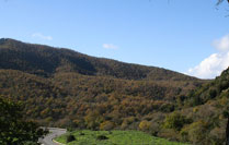 Parco Naturale dei monti della Tolfa